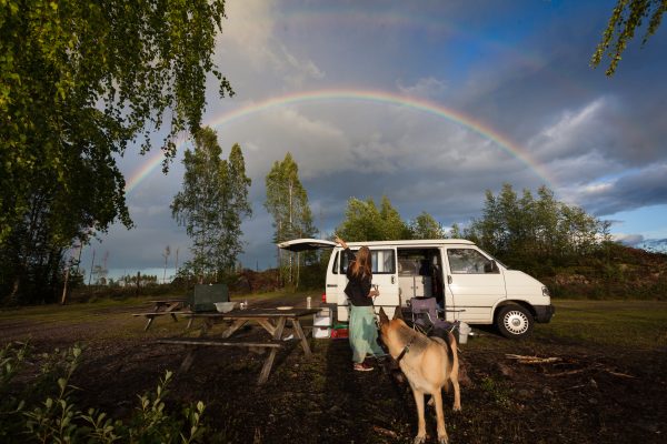 Wildkamperen in Scandinavië